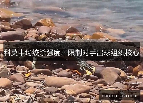 科莫中场绞杀强度，限制对手出球组织核心